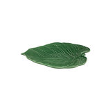 0000373_folhas-travessa-costela-de-adao-43-verde