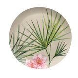 Tarhong_collection