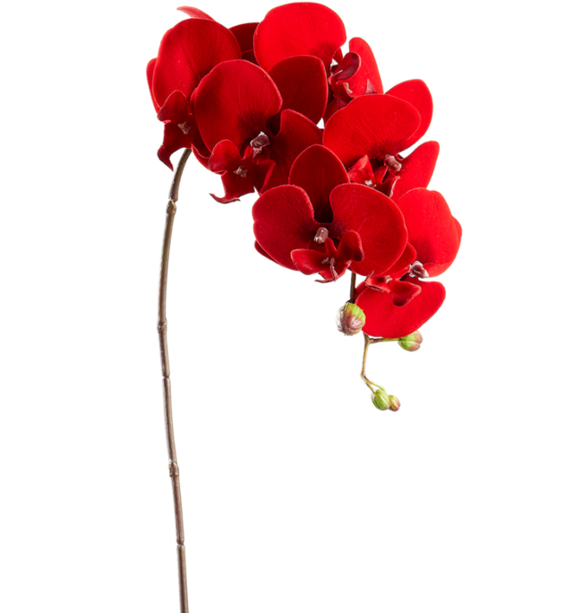 Captura_de_pantalla_2022-10-12_214131