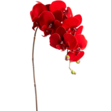 Captura_de_pantalla_2022-10-12_214131