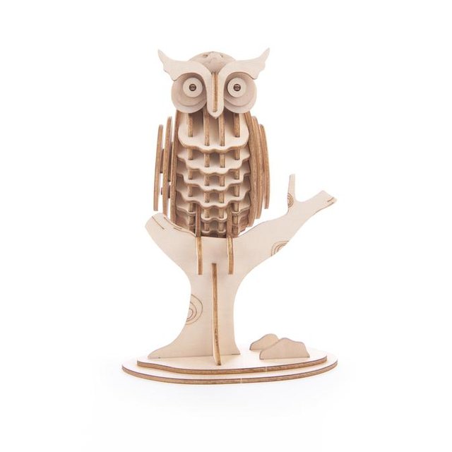 Gg107-owl-img_0205_672x672