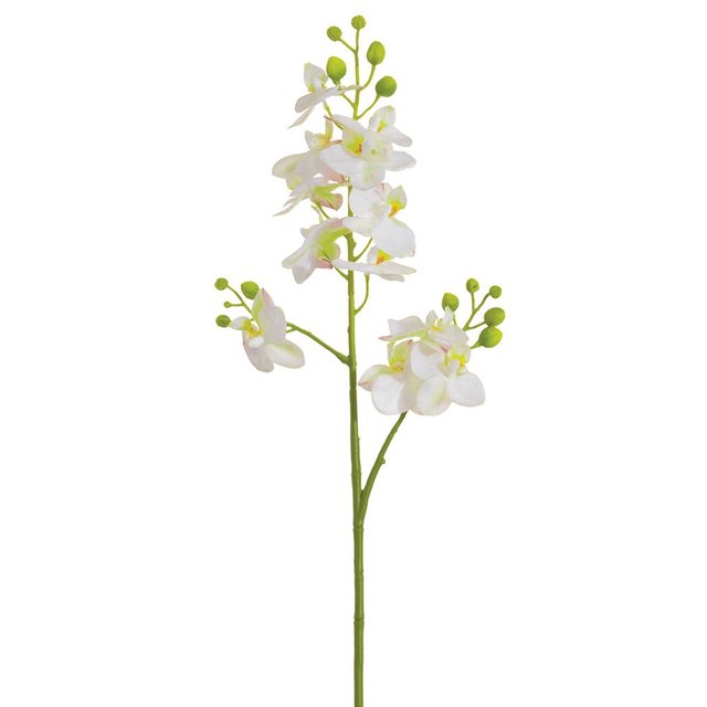 Fso299wh