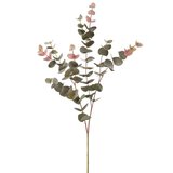 Pse039grbu
